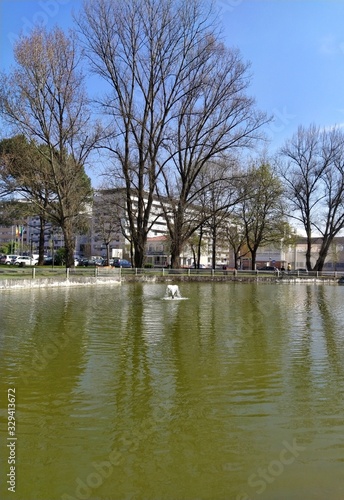 a lake in the park at the end of winter