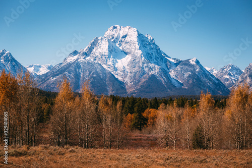 Oxbow Bend viewpoint with detail on mt. Moran and wildlife, Grand Teton National park, Wyoming, USA