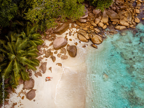 Seychelles tropical islands, Praslins Island Seychelles with couple walking on the tropical beach with palm trees photo