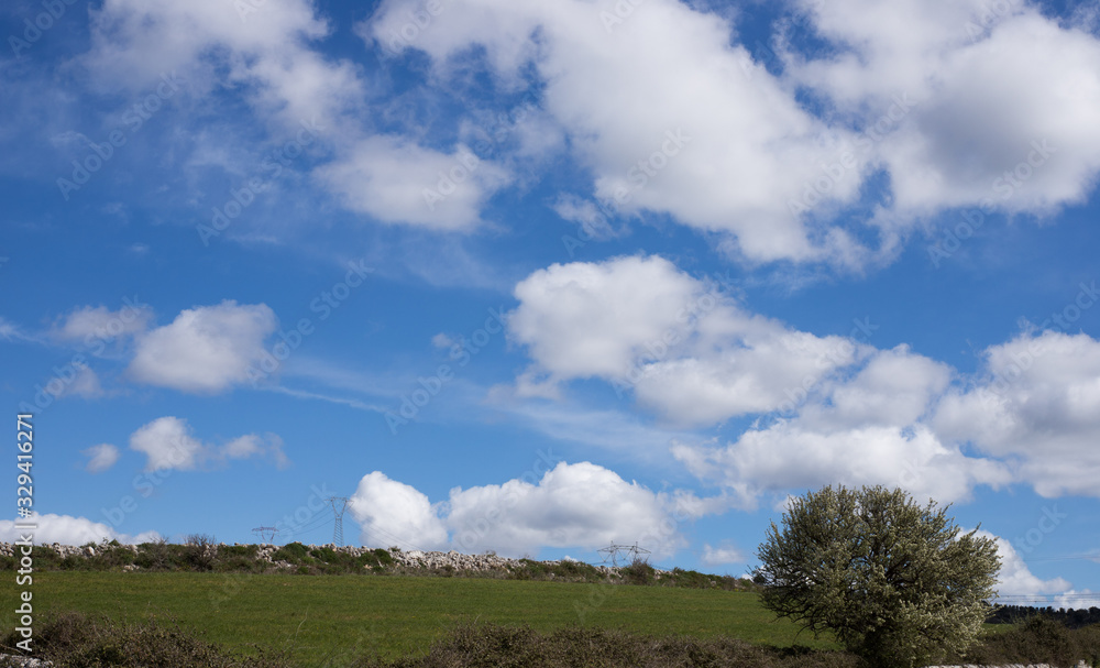 Obraz premium Sicilian countryside