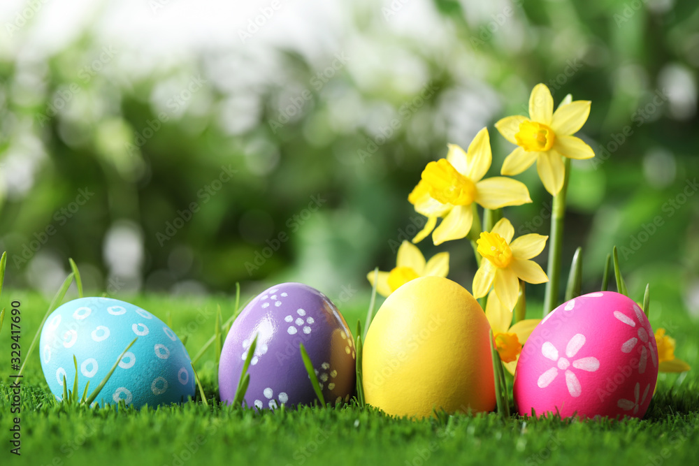 Colorful Easter eggs and daffodil flowers in green grass. Space for text