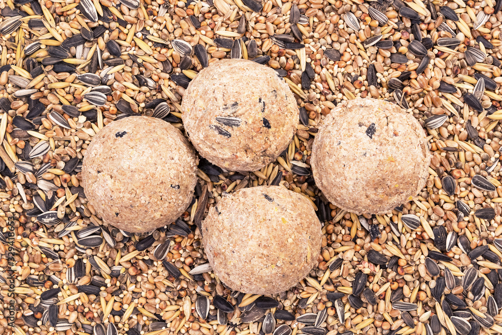 Four bird fat balls on a background of mixed bird seeds seen directly from above