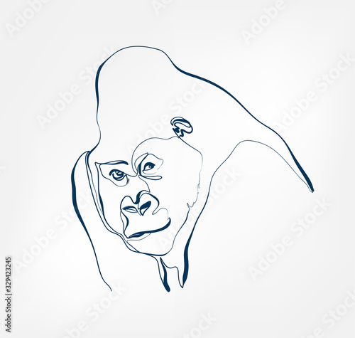 gorilla vector animal wild one line design