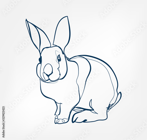 rabbit vector animal wild one line design