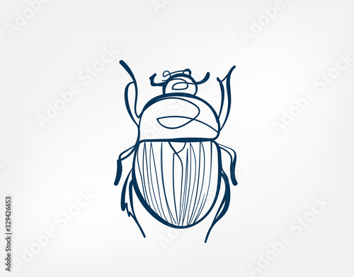 beetle insect vector art line isolated doodle illustration