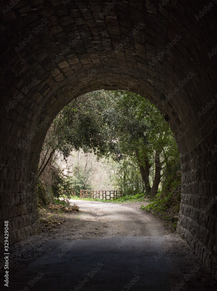 Obraz premium Tunnel of the old railway