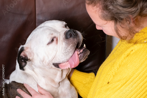 Obraz na płótnie Girl holding Old English Bulldog, bulldog seems in love with the young woman w salonie