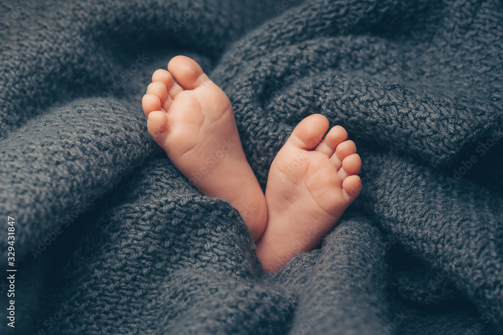 Soft newborn baby feet against a dark grey blanket, closeup. - obrazy, fototapety, plakaty 