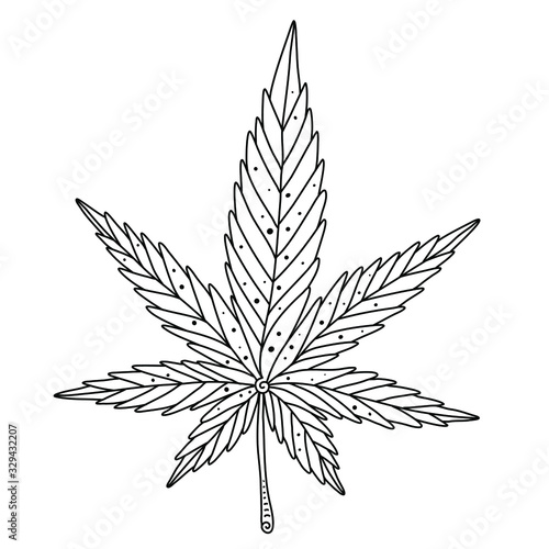 Vector illustration of cannabis leaf isolated on white background. Hand drawn. Outline.