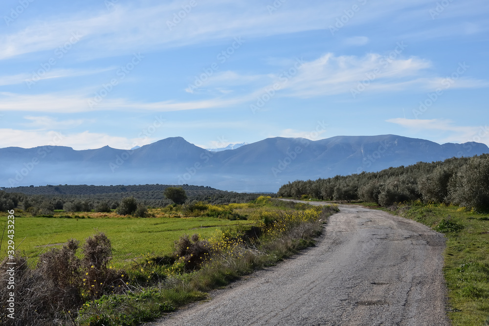 View of the countryside in Andalusia with an old road heading towards the mountains