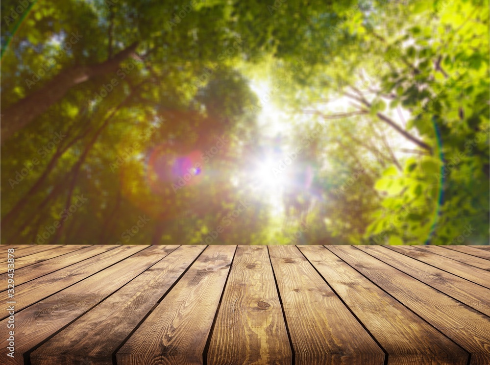 The empty wooden table top on nature background. The empty wooden table top on nature background.