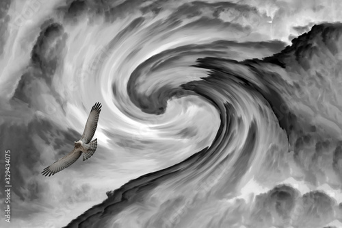 Abstract nature. Birds and clouds. Black white photo.