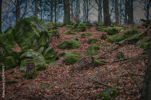 Rocky hill in a haunted forest in the evening.