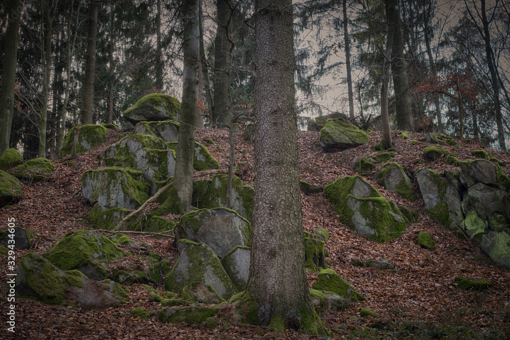 Rocks on a hill in a haunted forest.