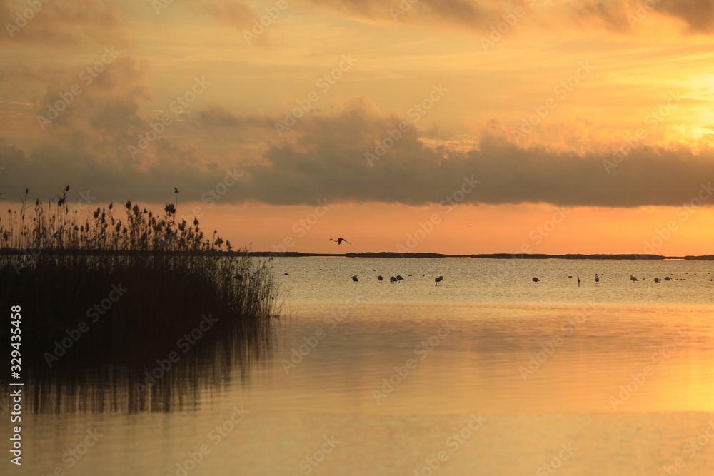 DELTA DEL EBRO