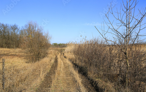 dirt road in spring meadow