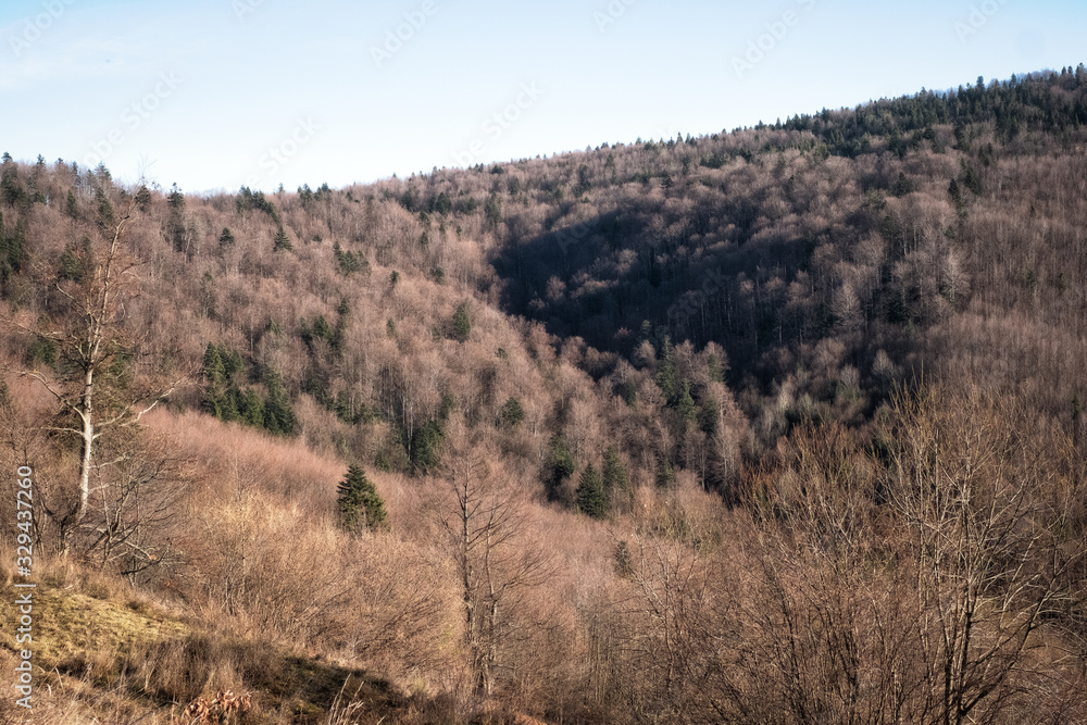 Mountain landscape with rocks and trees Mountain landscape with rocks and trees