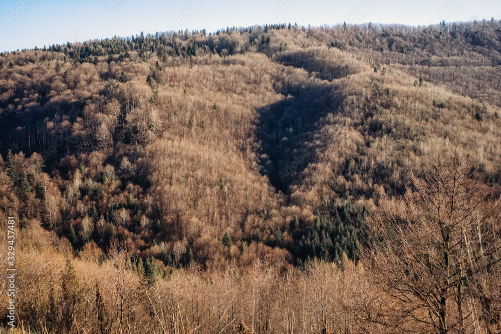 Mountain landscape with rocks and trees