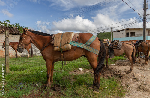 Horses tied up in a rural town