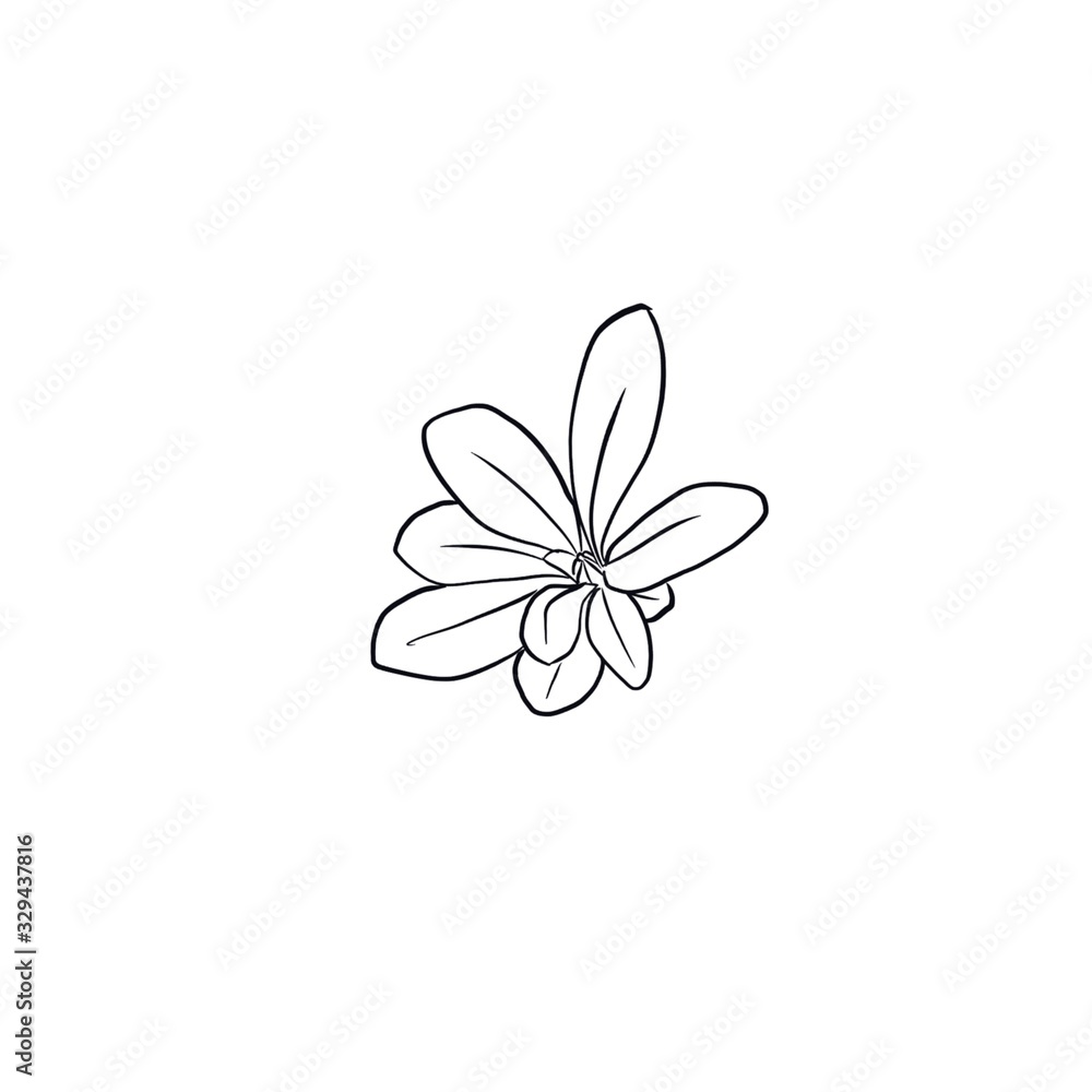 doodle illustration of flowers and leaves