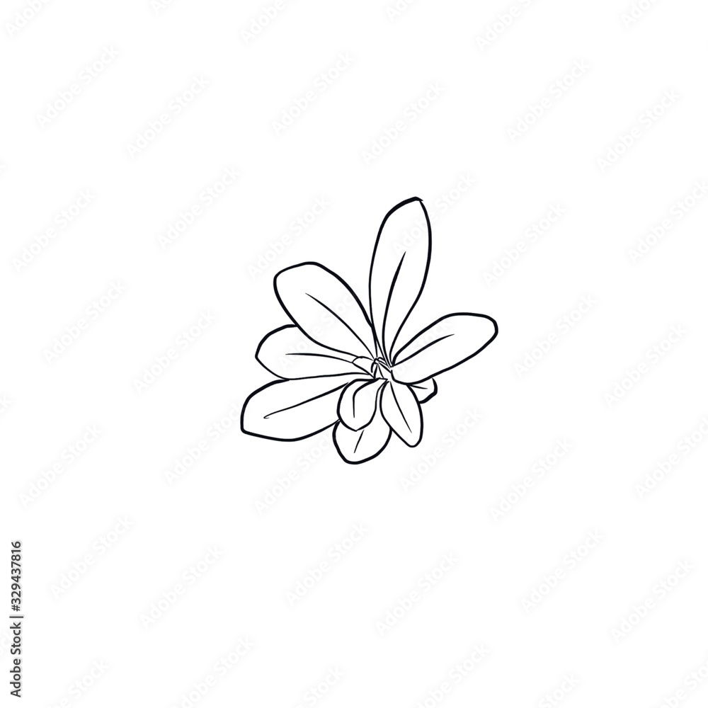 doodle illustration of flowers and leaves doodle illustration of flowers and leaves