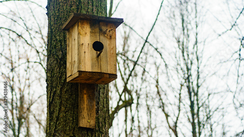 Wooden birdhouse on a tree. Wooden birdhouse on the tree, close up. Birdhouse on the blurry background of rees and gloomy sky.