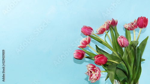 Creative layout with tulips on a blue background, minimal holiday and spring concept. Greeting card, spring banner for the screen, happy birthday, wedding, place for text, flat lay