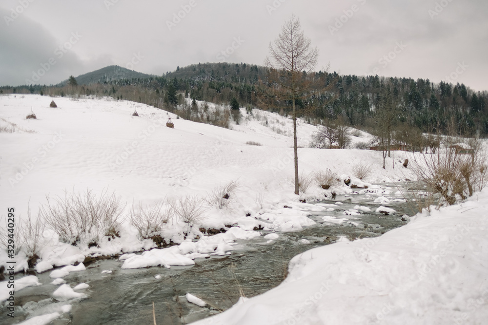 Winter village landscape in mountains