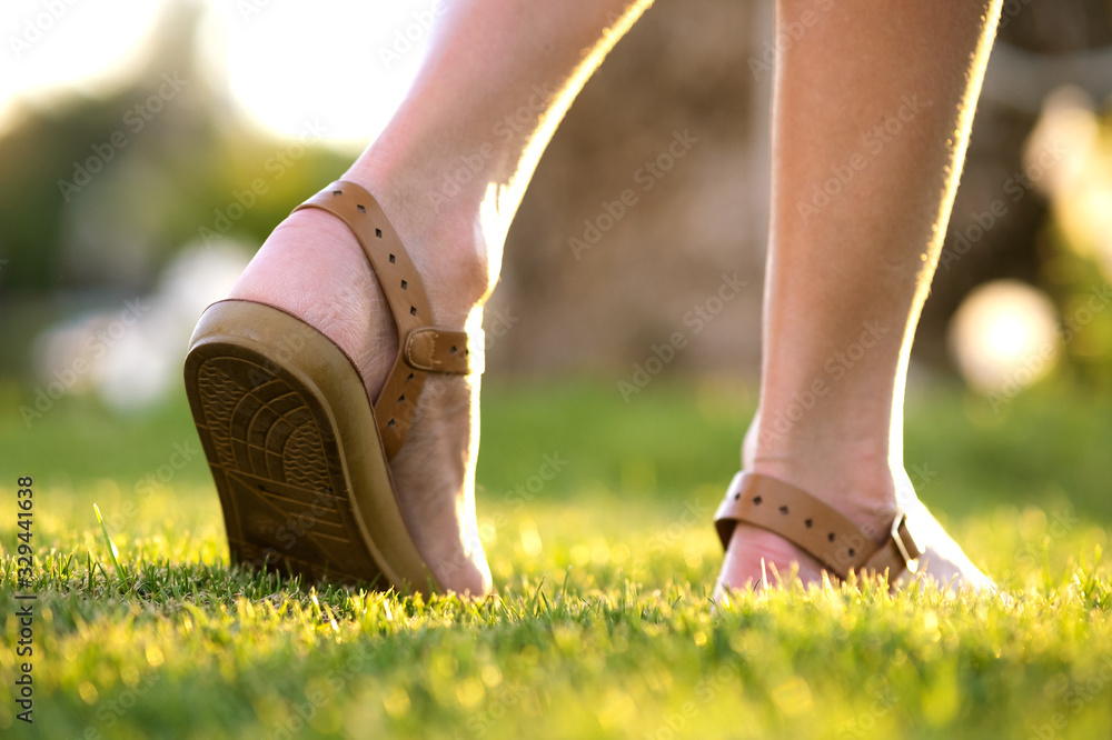 Close up of woman feet in summer sandals shoes walking on spring lawn covered with fresh green grass.