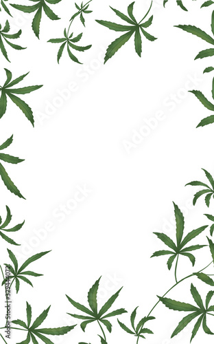Frame of floral green leaves cannabis on a white isolated background. Digital illustration. Use for posters  flyers  postcards  posters  textiles  wallpaper  clothing. Drug lega