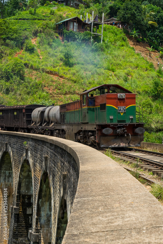 train in sri lankan tea plantation photo