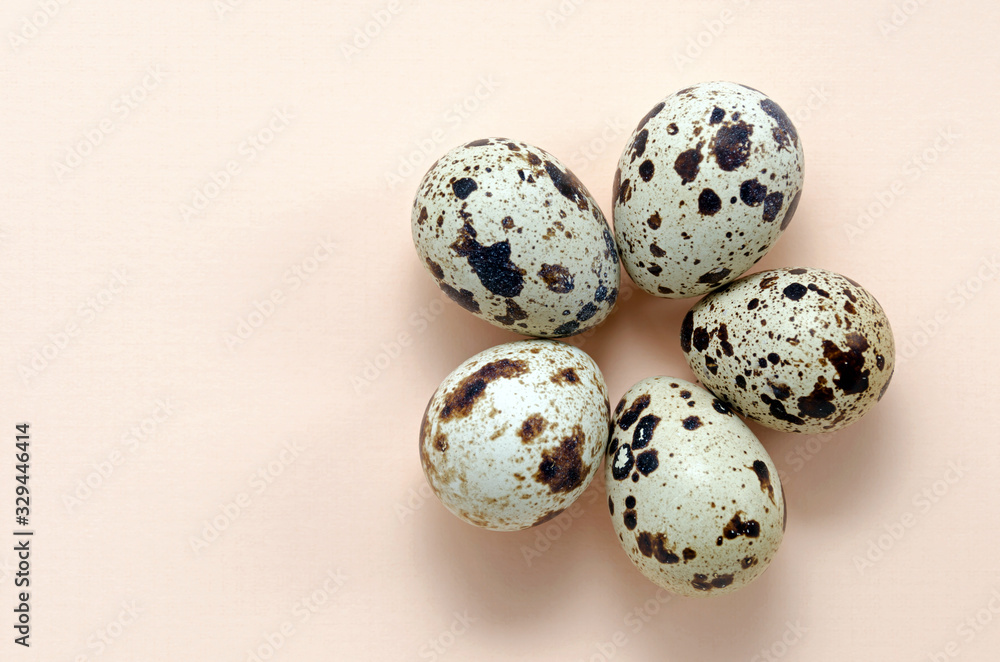 quail eggs laid out in the form of a flower on a pink peach background top view. Easter holiday eggs. The concept of spring, warmth, flowering, love, relationships. universal greetings. quail eggs laid out in the form of a flower on a pink peach background top view. Easter holiday eggs. The concept of spring, warmth, flowering, love, relationships. universal greetings.