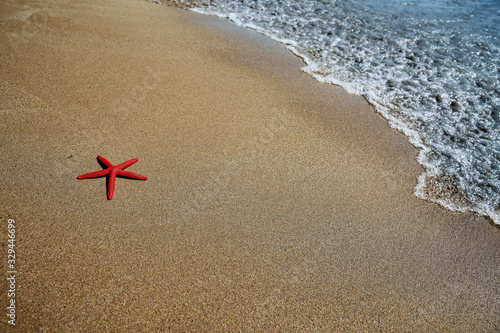 summer shell on beach and free space for your decoration.