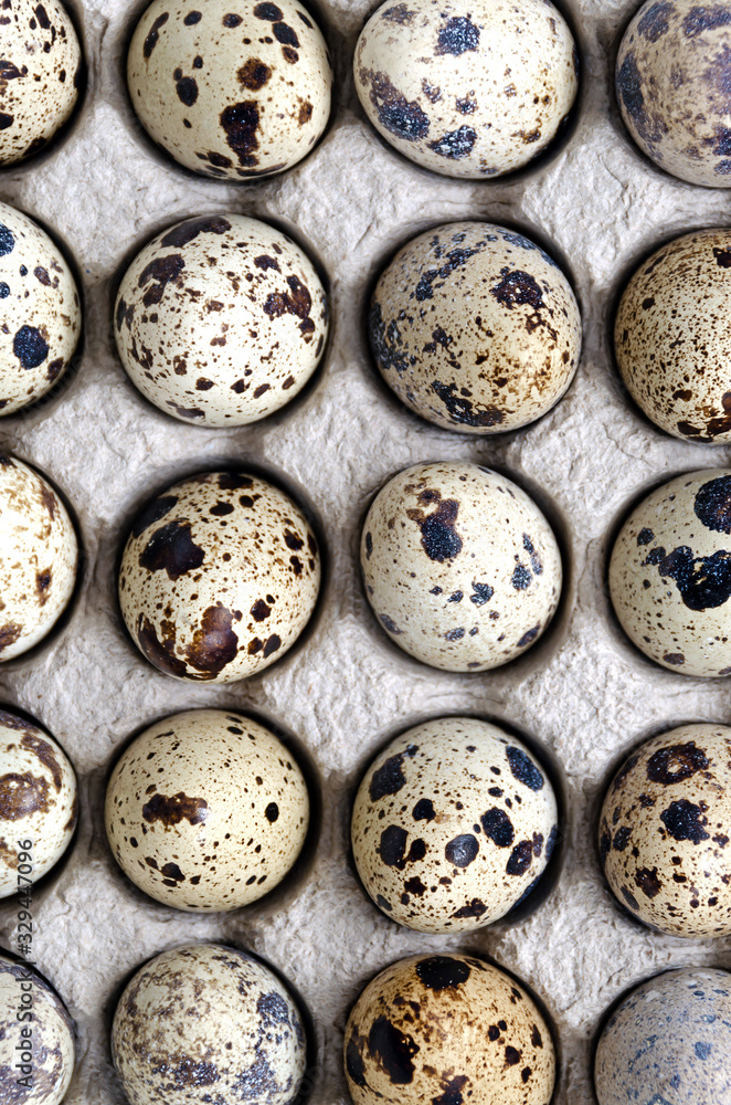 zero waste concept. close-up quail eggs are laid out in a box of recycled, recycled cardboard. concept of healthy diet food and diet. isolate