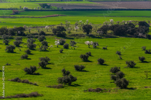 Plains of Belianes-Preixana photo