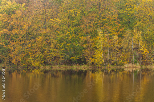 Small forest lake on a sunny autumn morning in Soderasen national park, Sweden. © Tatiana