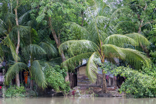 Rural houses in the lush green backwaters of Barisal, Bangladesh photo
