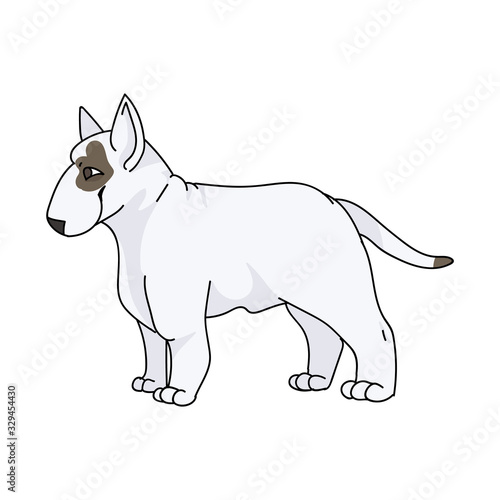 Cute cartoon bull terrier dog breed vector clipart. Pedigree kennel show dog for dog lovers. Purebred domestic pooch for pet parlor illustration. Isolated canine puppy with snout. EPS 10. 