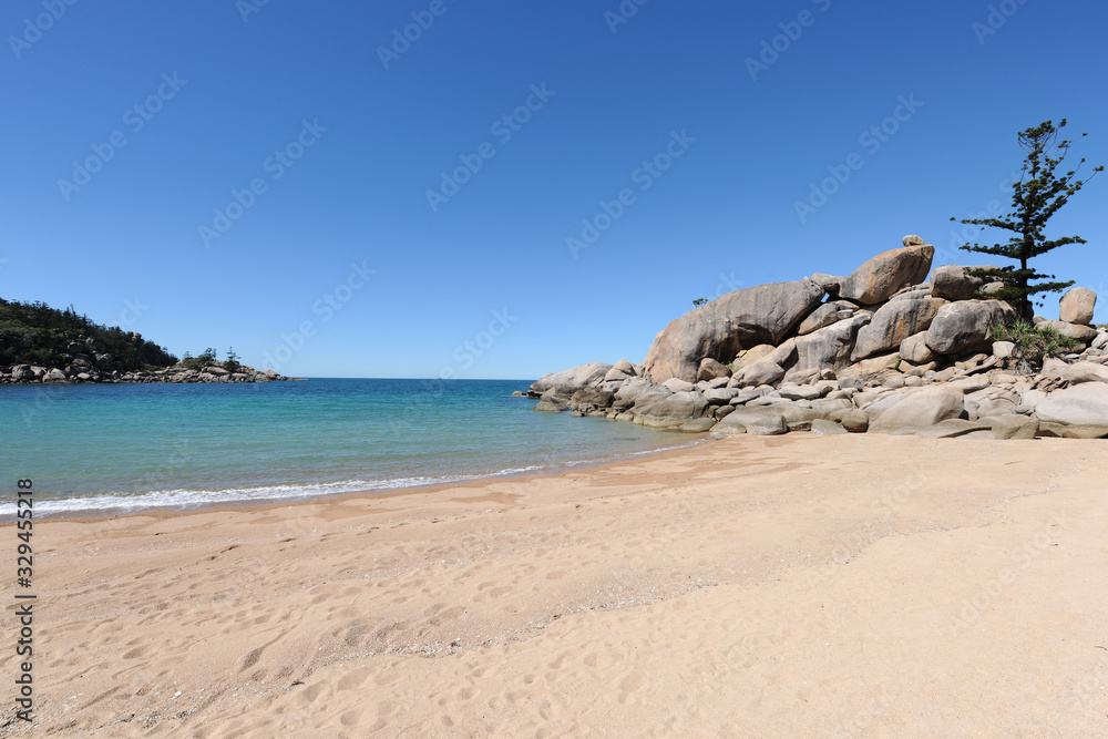 Beach scene with granite rocks and Hoop pine tree, Arthur Bay, Magnetic Island, Queensland, Australia