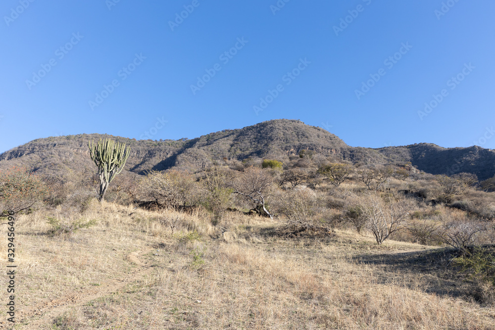 San Juan Cosala Mountain Range.  Jalisco, Mexico.