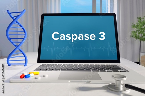 Caspase 3 – Medicine/health. Computer in the office with term on the screen. Science/healthcare photo