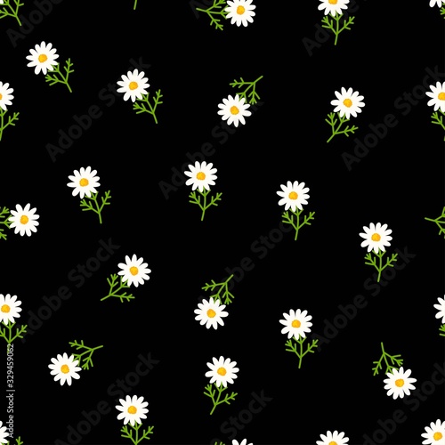 Daisy seamless pattern on black background. Floral ditsy print with small white flowers and leaves. Chamomile design great for fashion fabric, kitchen textile and wallpaper.