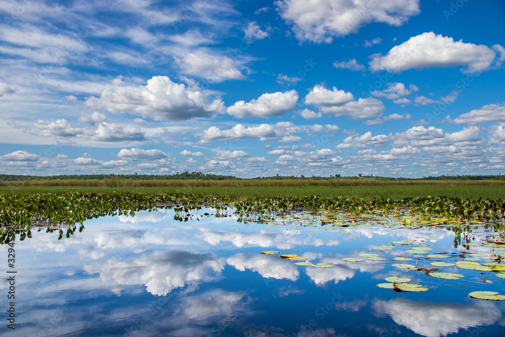 Perfect reflection sky and river, Pantanal de Marimbus, Chapada Diamantina