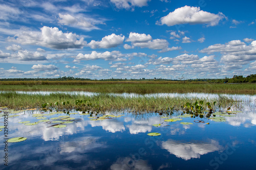 Reflection in Pantanal de Marimbus Chapada Diamantina photo