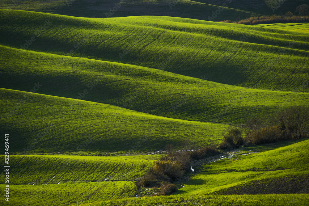 Obraz premium onde della terra