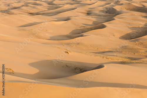 Mongolia Gobi desert  Khongor sand dunes at golden hour