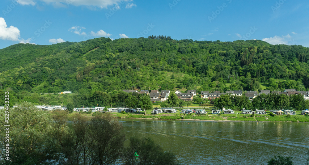 Germany, Hiking Frankfurt Outskirts, a herd of cattle grazing on a lush green field