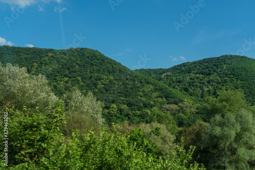 Germany, Hiking Frankfurt Outskirts, a group of bushes and trees