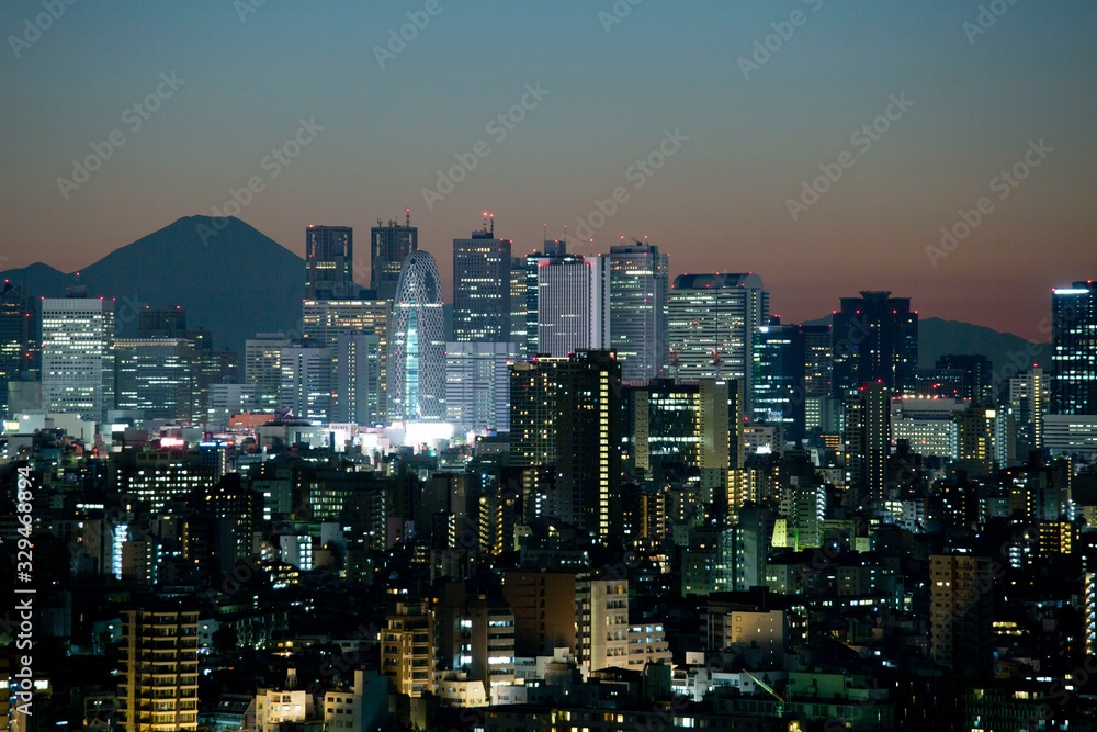 Sunset View of Cityscape of Tokyo and Mt. Fuji