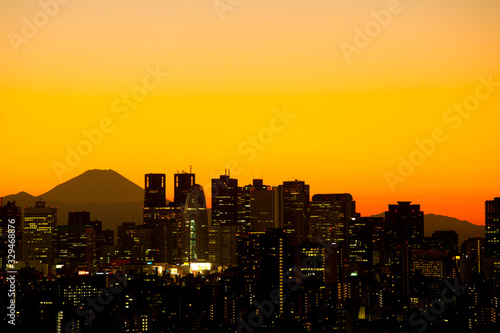 Sunset View of Cityscape of Tokyo and Mt. Fuji